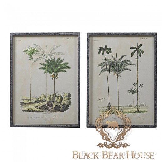 obraz grafika zdjęcie dekoracja ścienna black bear house