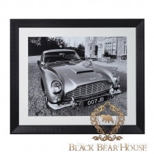 obraz aston martin black bear house