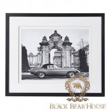 obraz jaguar black bear house