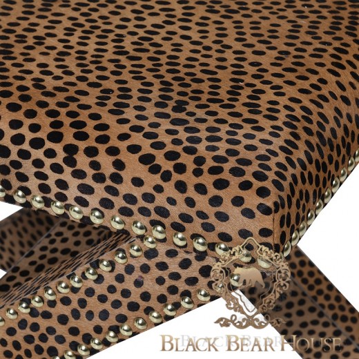 pufa lampart black bear house.011