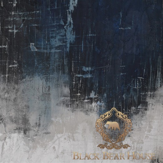 obraz nadmorskie abstrakcja black bear house.008